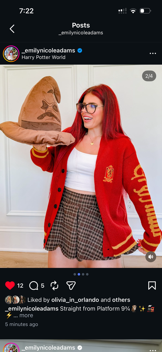 HP Sorting Hat Pillow • Ready to ship