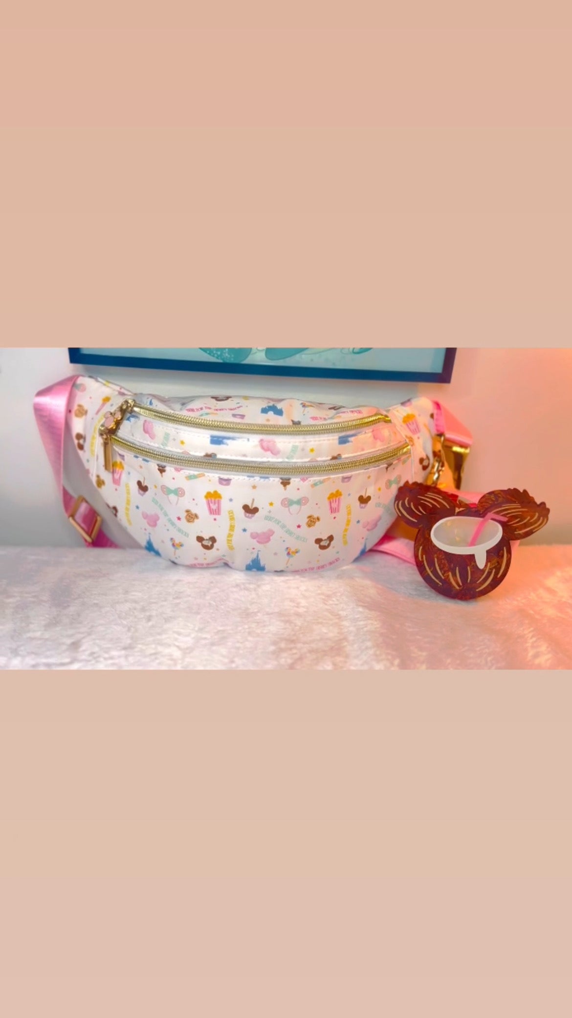 EXCLUSIVE Magical Park Snacks Fanny -𝗣𝗥𝗘 𝗢𝗥𝗗𝗘𝗥